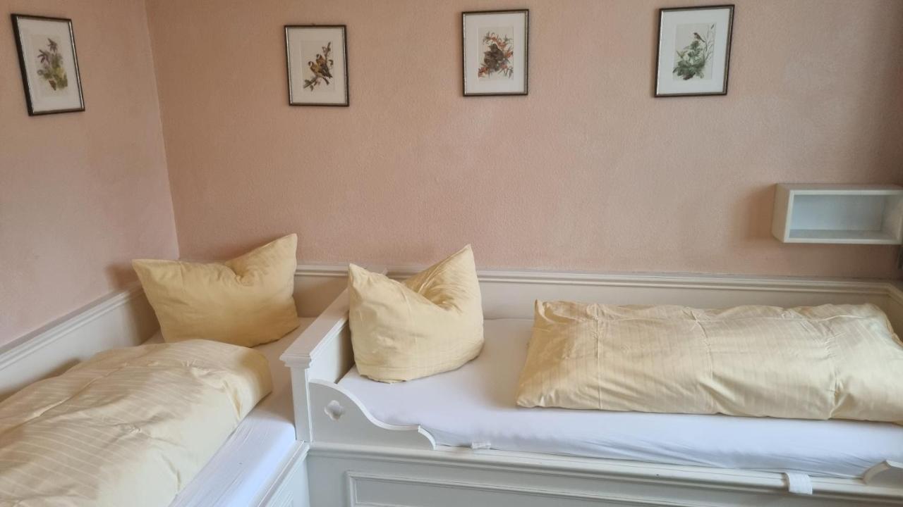 Haus Undine 8 Apartment